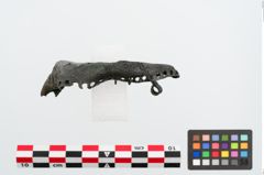 Foto von Bronzegehängehalbmondfibel (NHMW-PRAE-023947)